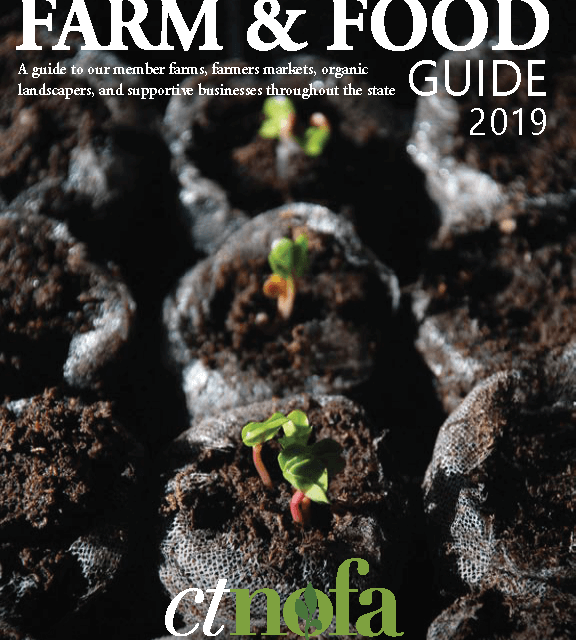 2019_guide_cover_Page_01