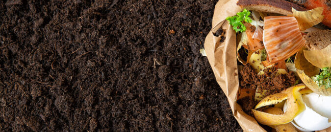 environmental control.Sorting of food waste in the environmental packages.
