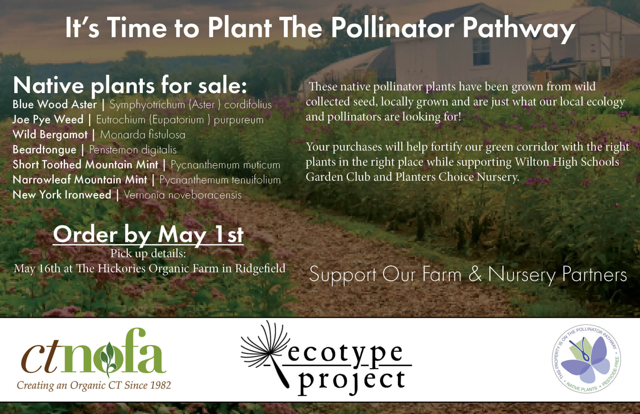 Plant Sale Card_Eco Type Project_Gleanings