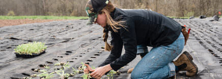 Find Our Business Members