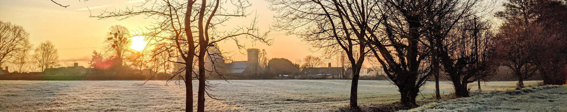 farm-field-frost