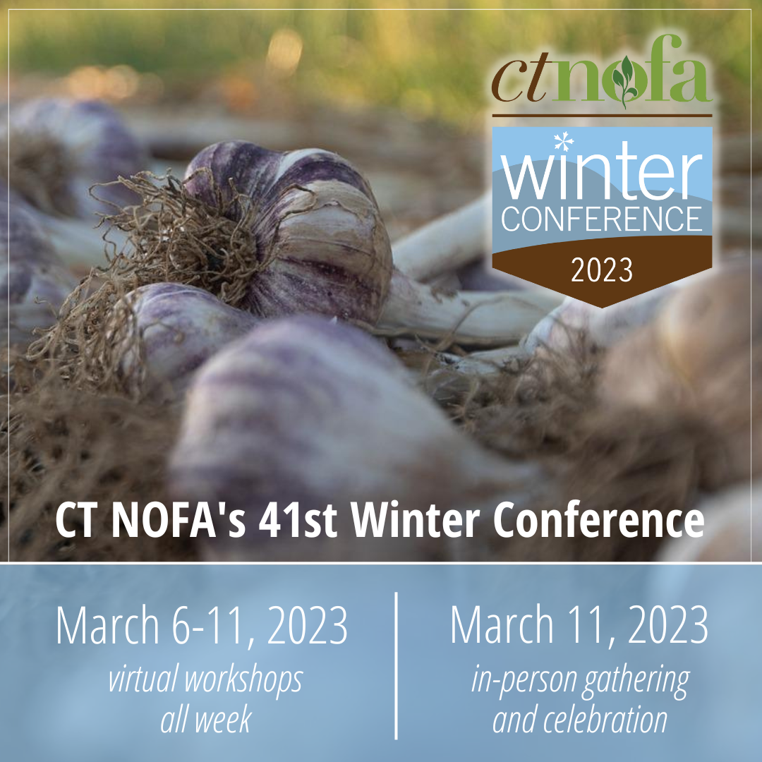 Winter Conference 2023 - Promotion