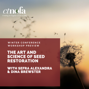 Winter Conference Sefra Alexandra Dina Brewster