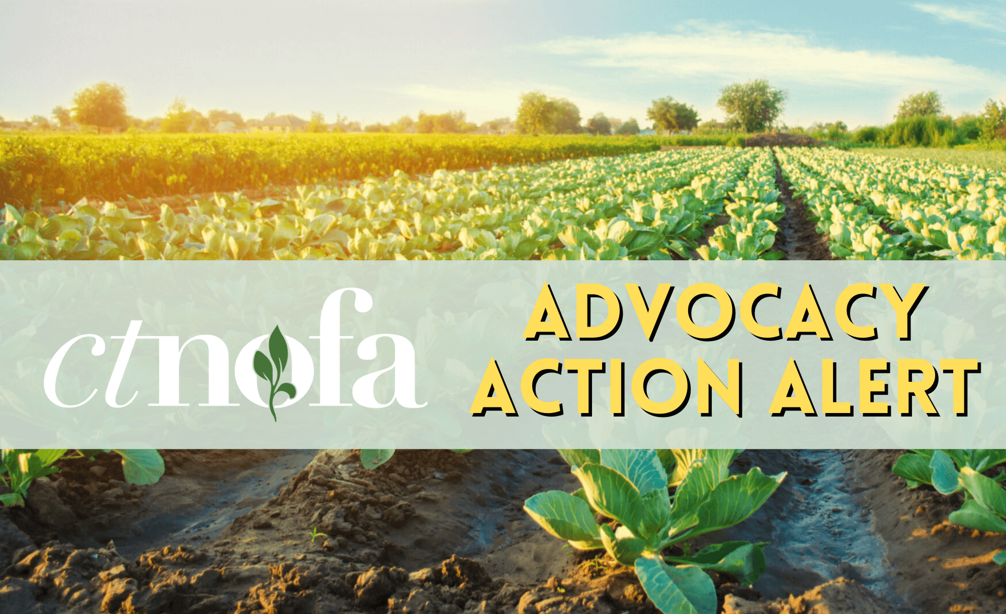 Advocacy Alert Banner