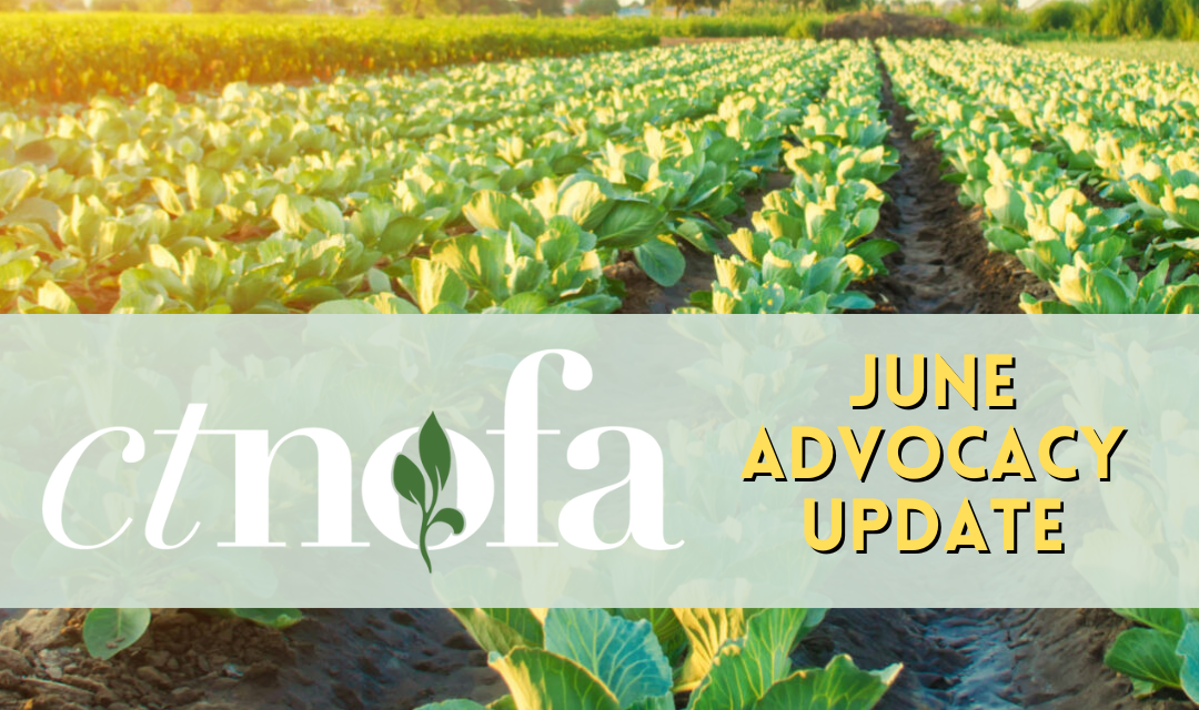 NOFA Advocacy Update - June