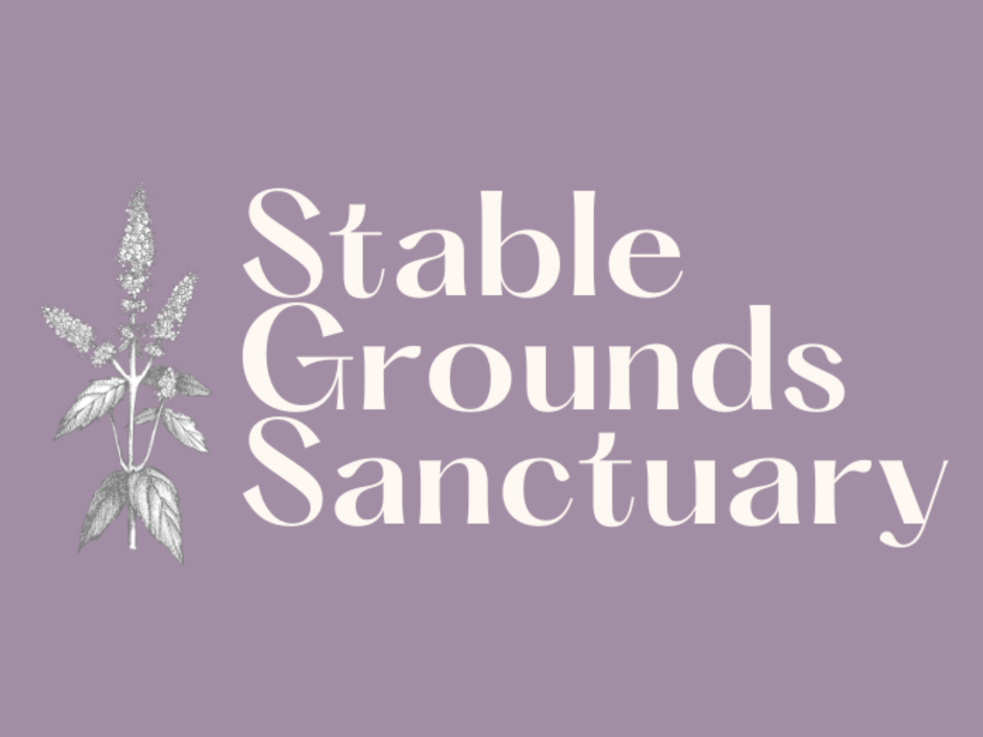 Stable Grounds 2