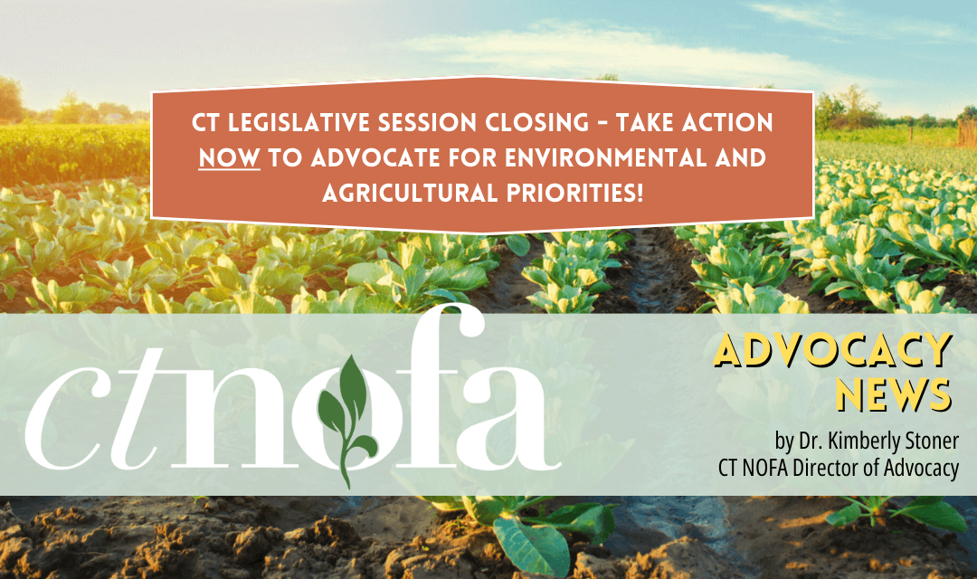 Advocacy news legislative closing 2024 Advocacy news legislative closing 2024