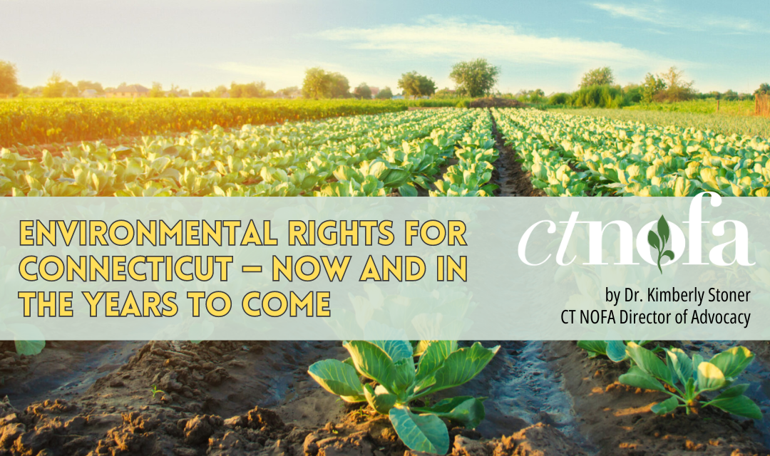 Environmental Rights Update Banner 2024
