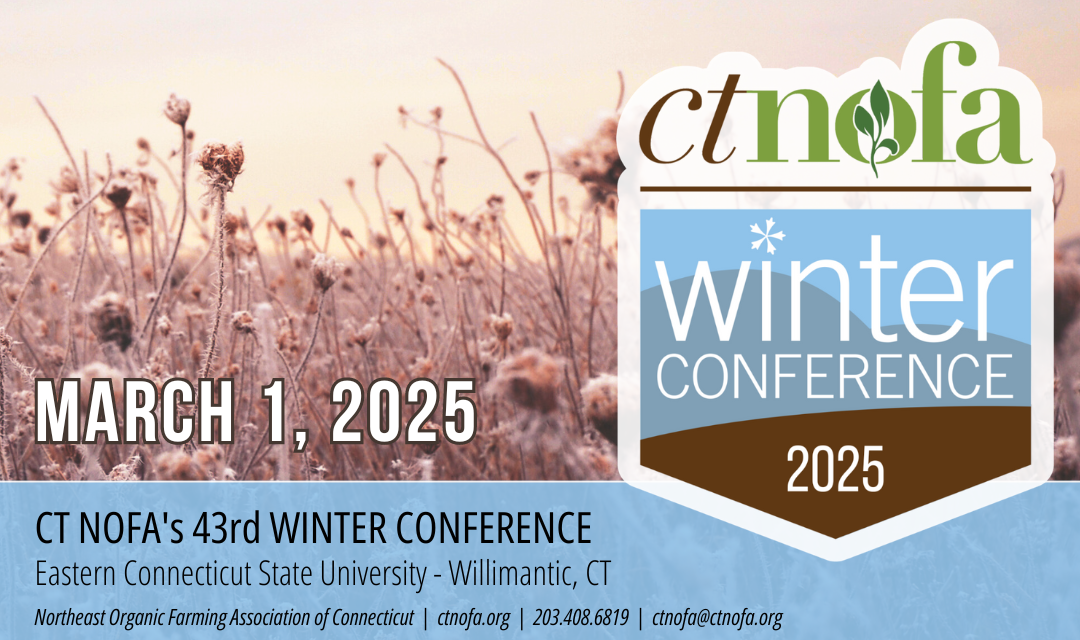 Winter Conference 2025 - Calendar Banner