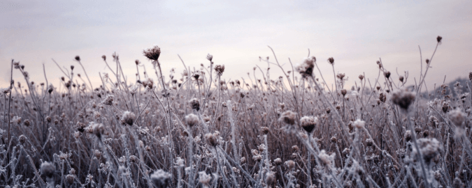 WC 2025 featured image WC 2025 featured image