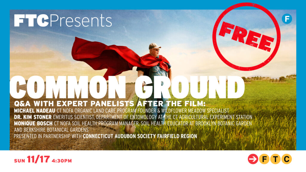 common ground film november 2024