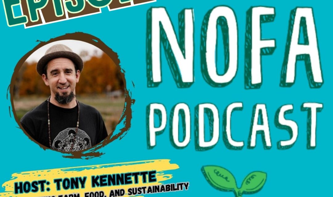 nofa podcast november 2024 1