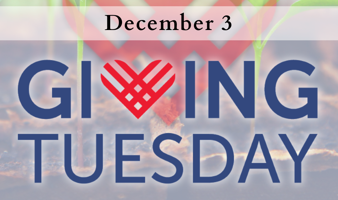 Giving Tuesday 2024