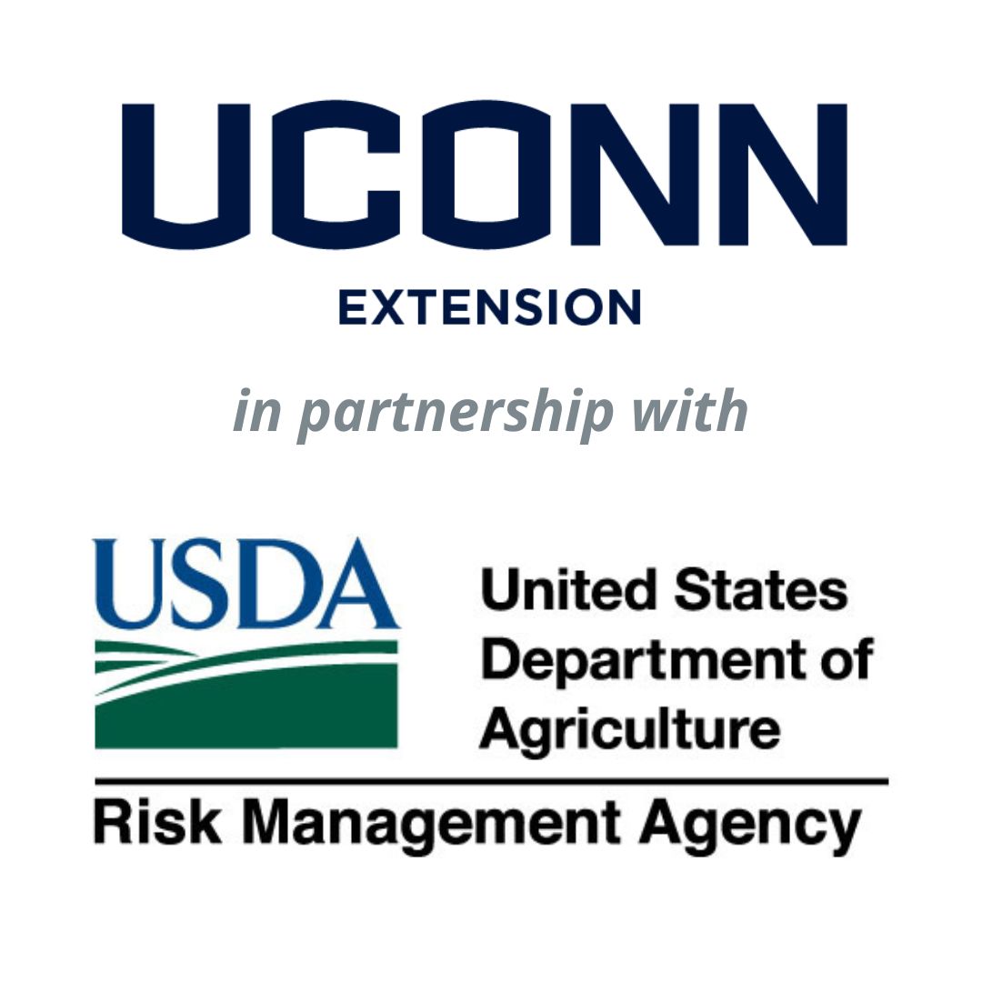 uconn extension risk management wc2025