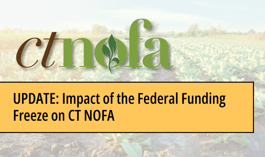 Federal Funding Impact Banner 03-2025