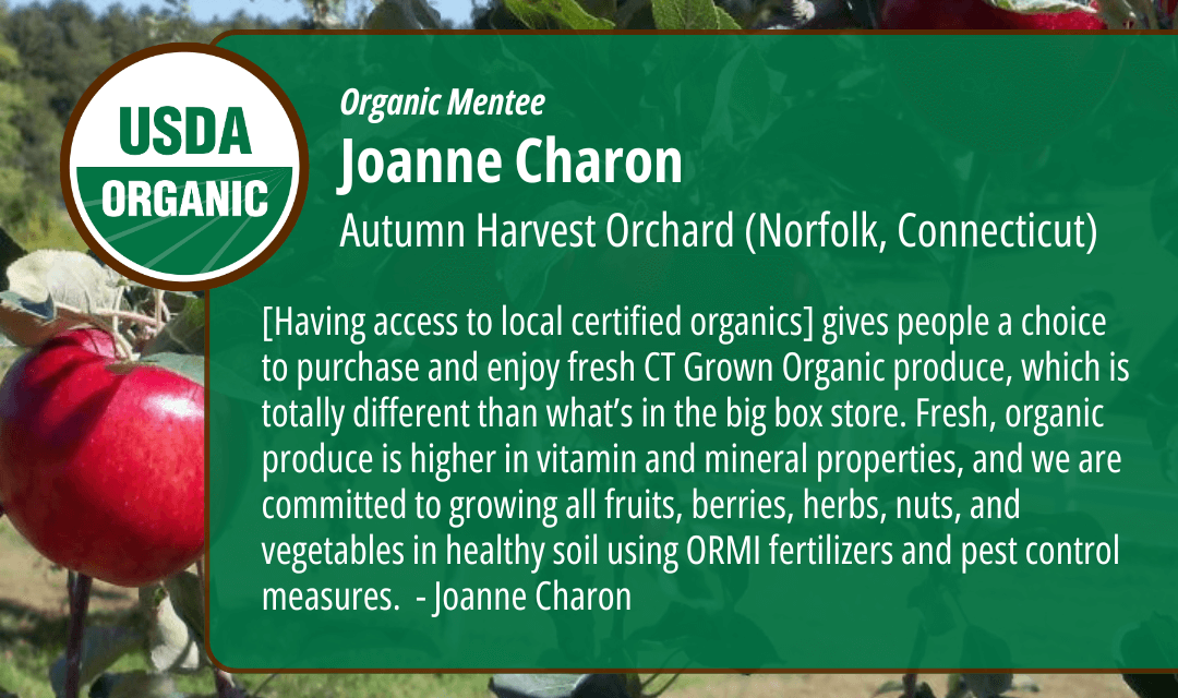 Autumn Harvest Orchard interview news banner
