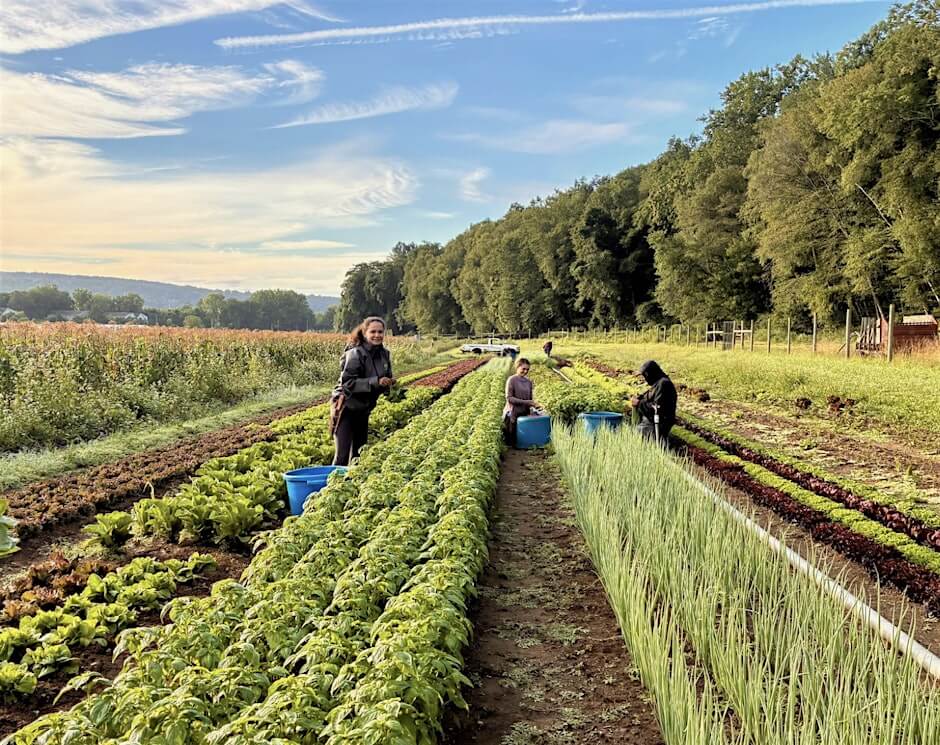fort hill farm tour september 2025