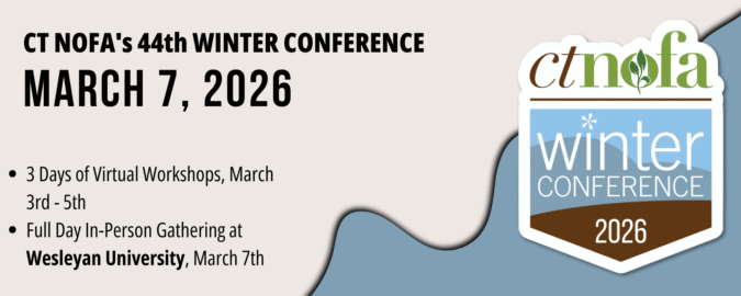 WC2026 Facebook banner and Page Header