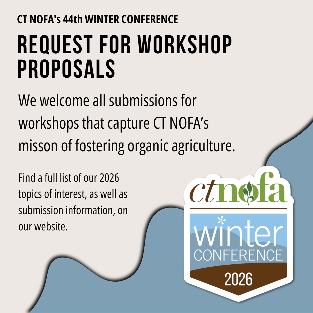 WC2026 - RFP WC2026 - RFP