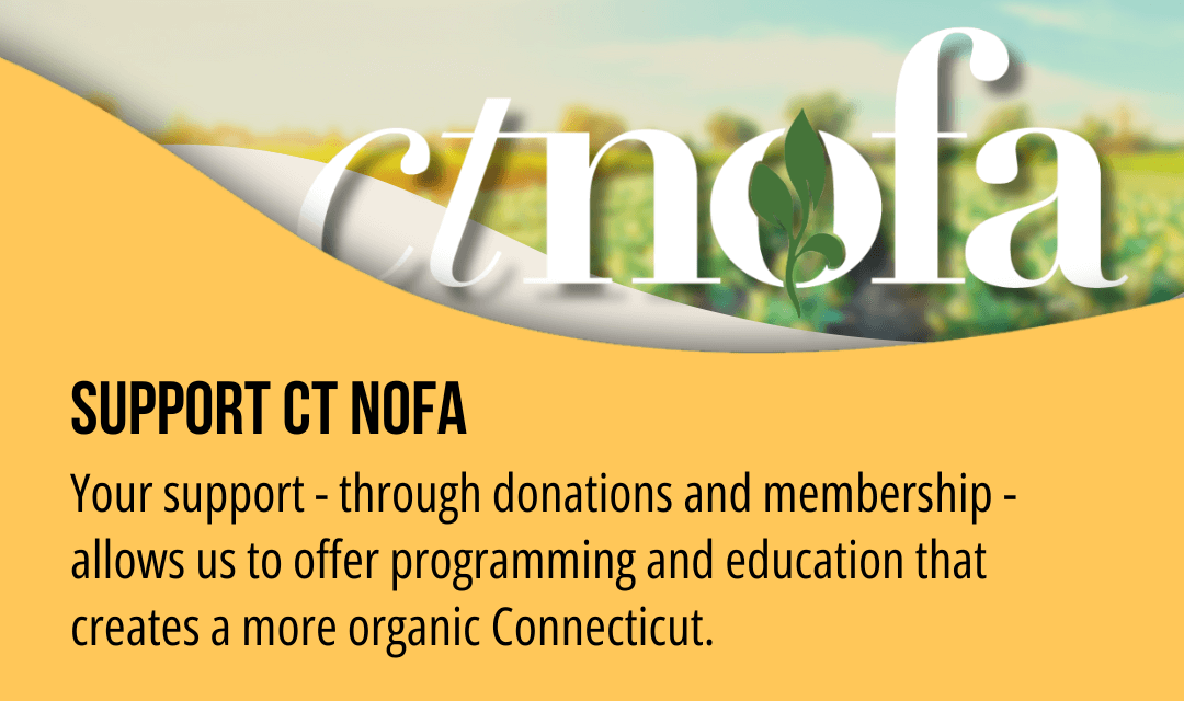 2025 Fall Fundraiser Main News Banner 2025 Fall Fundraiser Main News Banner