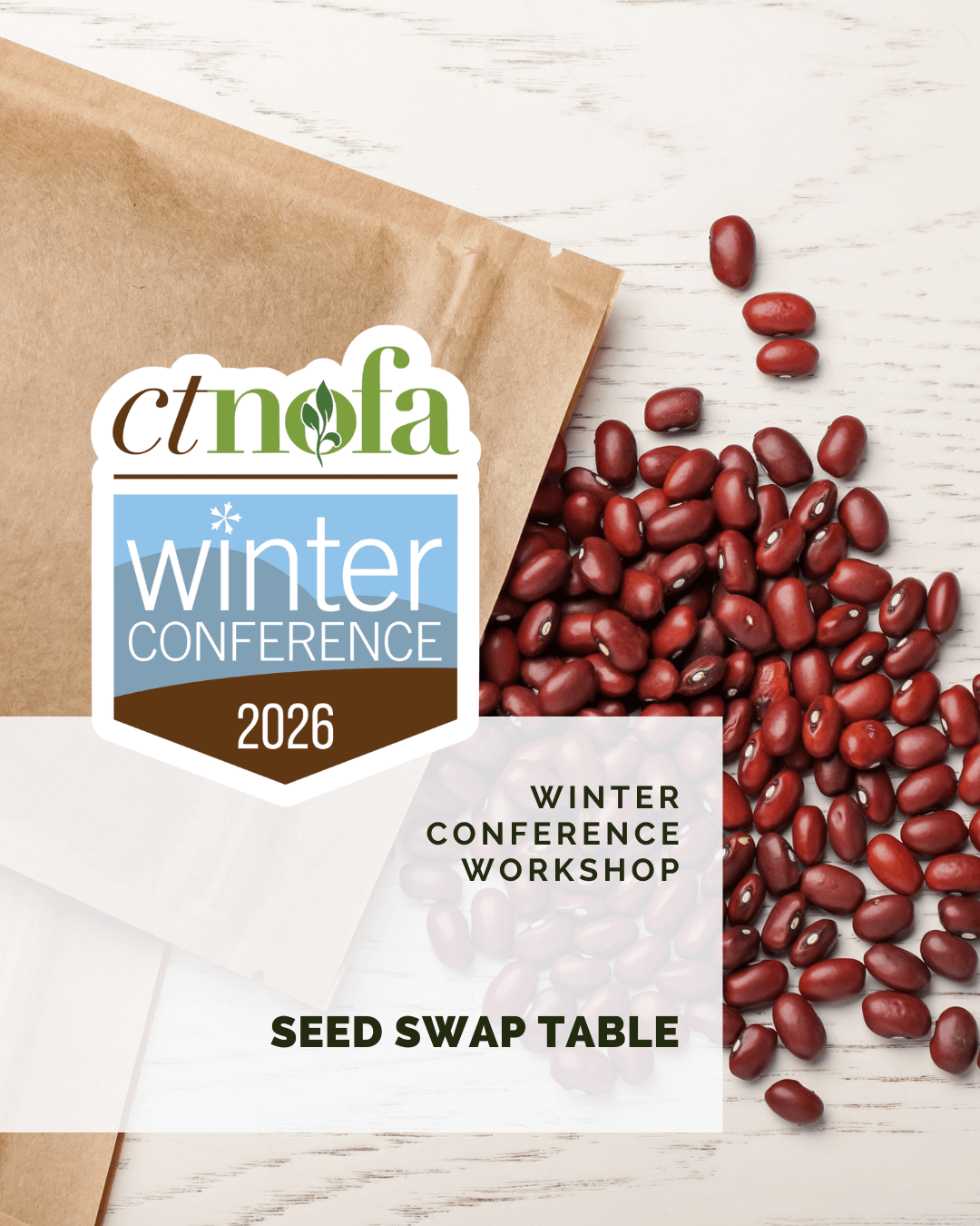 Seed Swap Table - WC2026