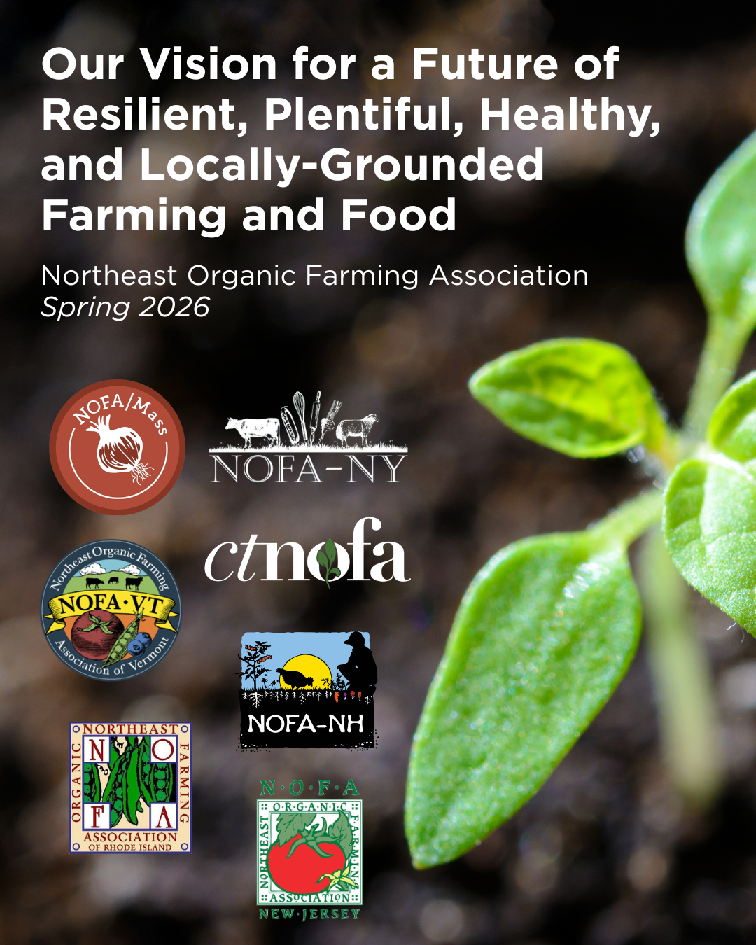 NOFA IC Spring 2026 Statement - Social Media